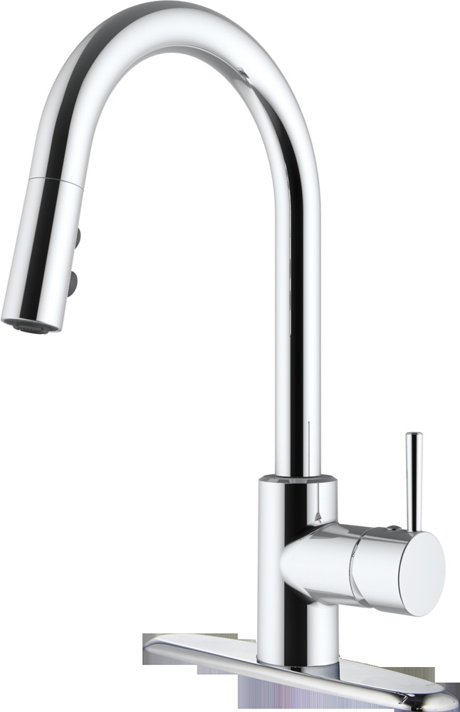 Kitchen Faucet with Hi Arc Spout