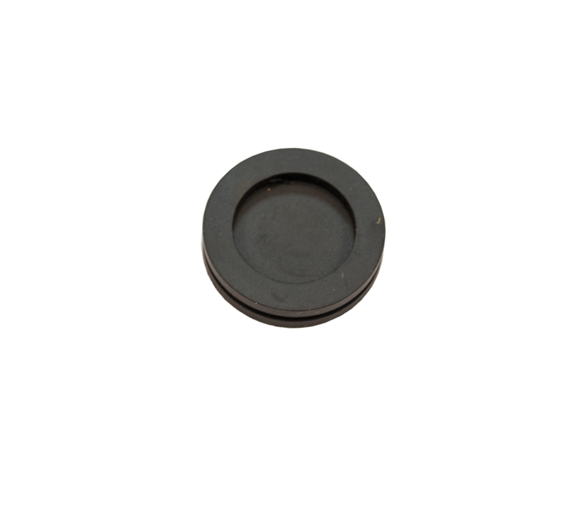 Water Heater Thermostat Access Plug