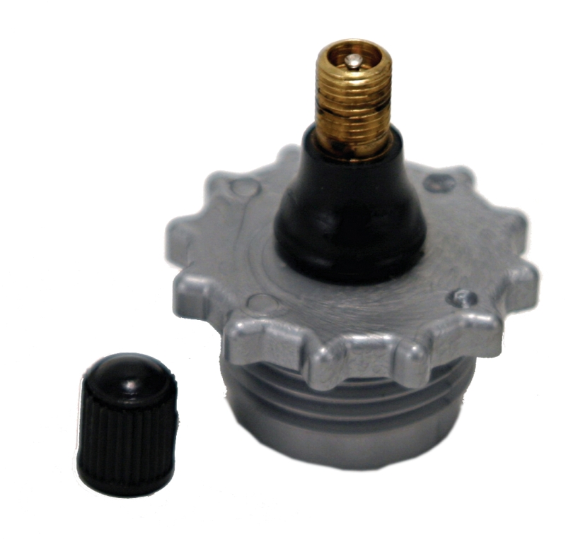 BLOWOUT PLUG PLASTIC W/ SHRADER VALVE