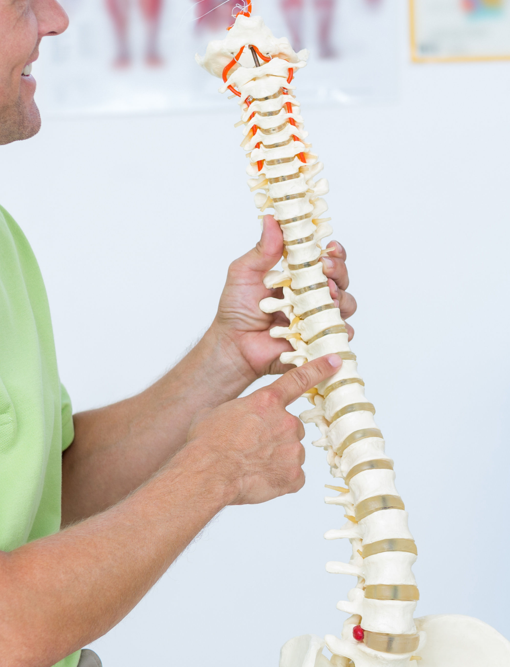 Doctor showing anatomical spine