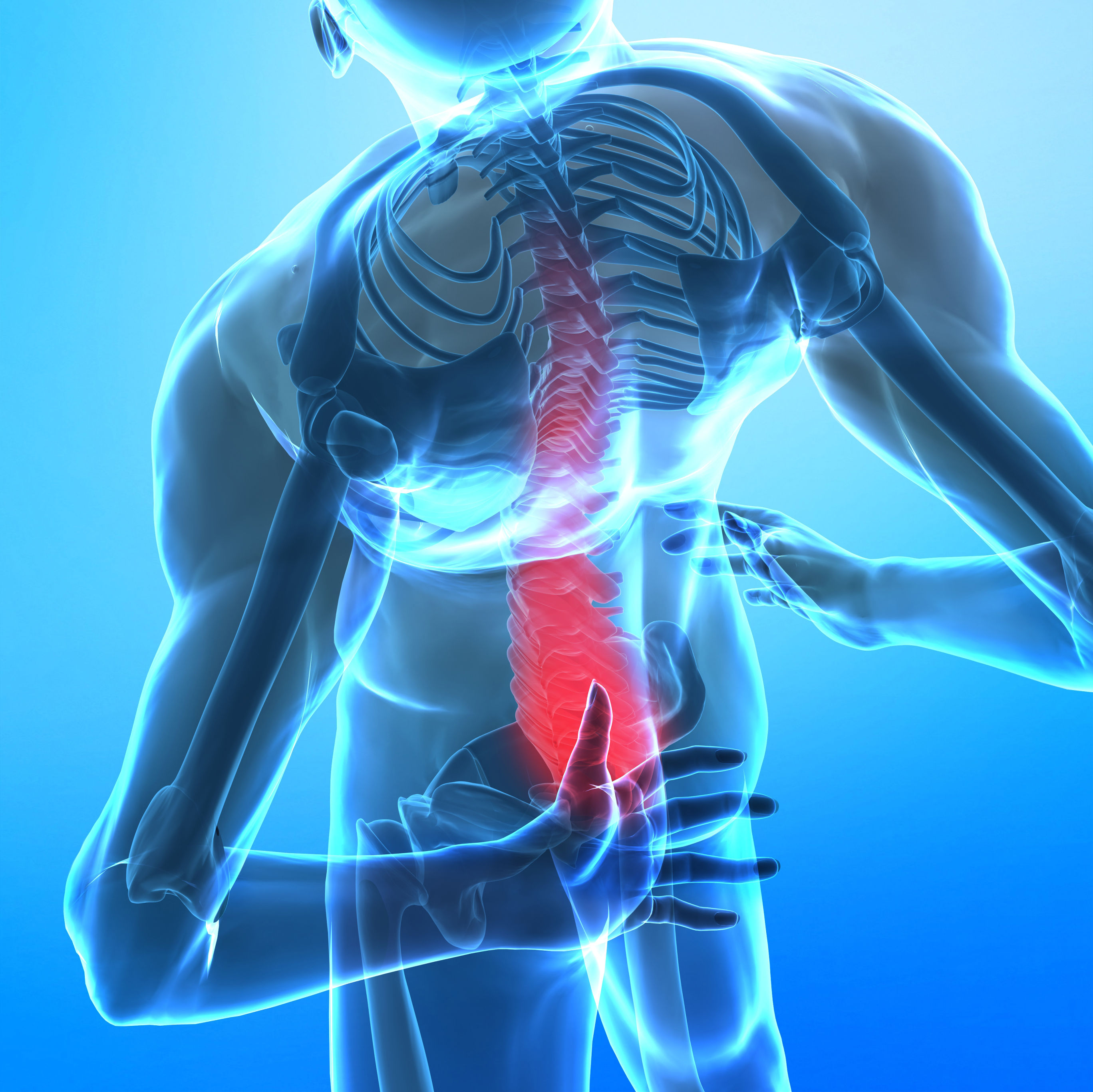 illustration of human skeleton with lower vertebrae highlighted