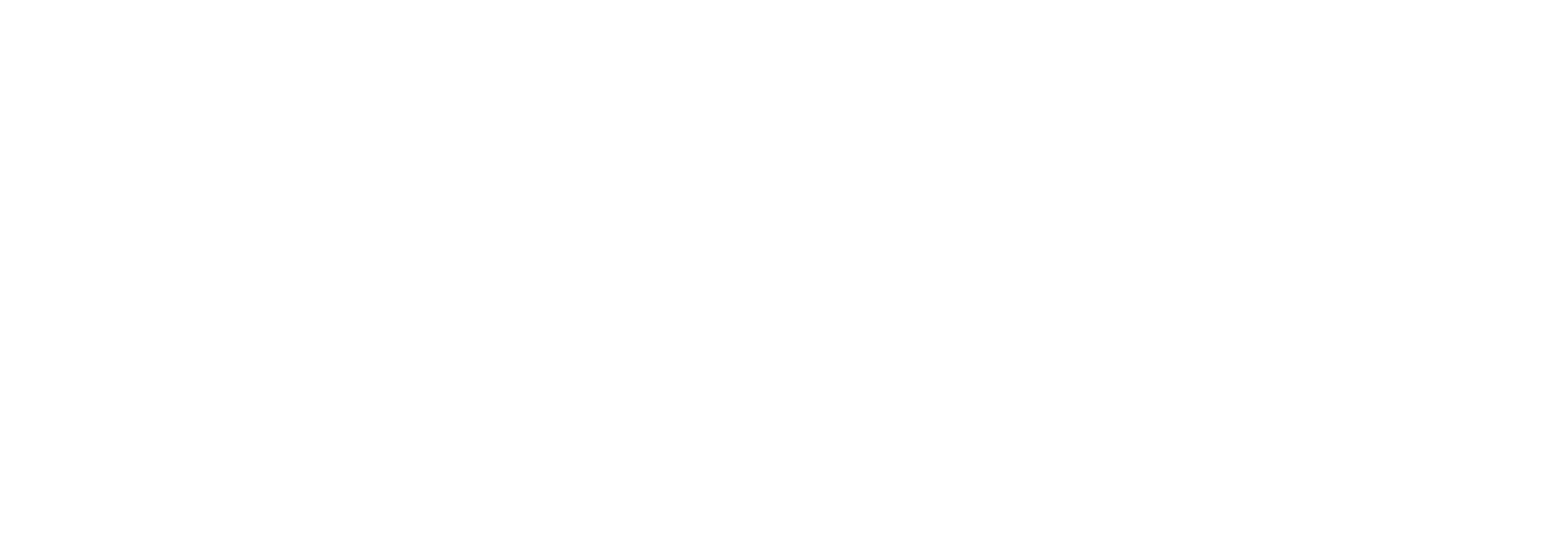 Cordima Chiropractic Center Logo in White