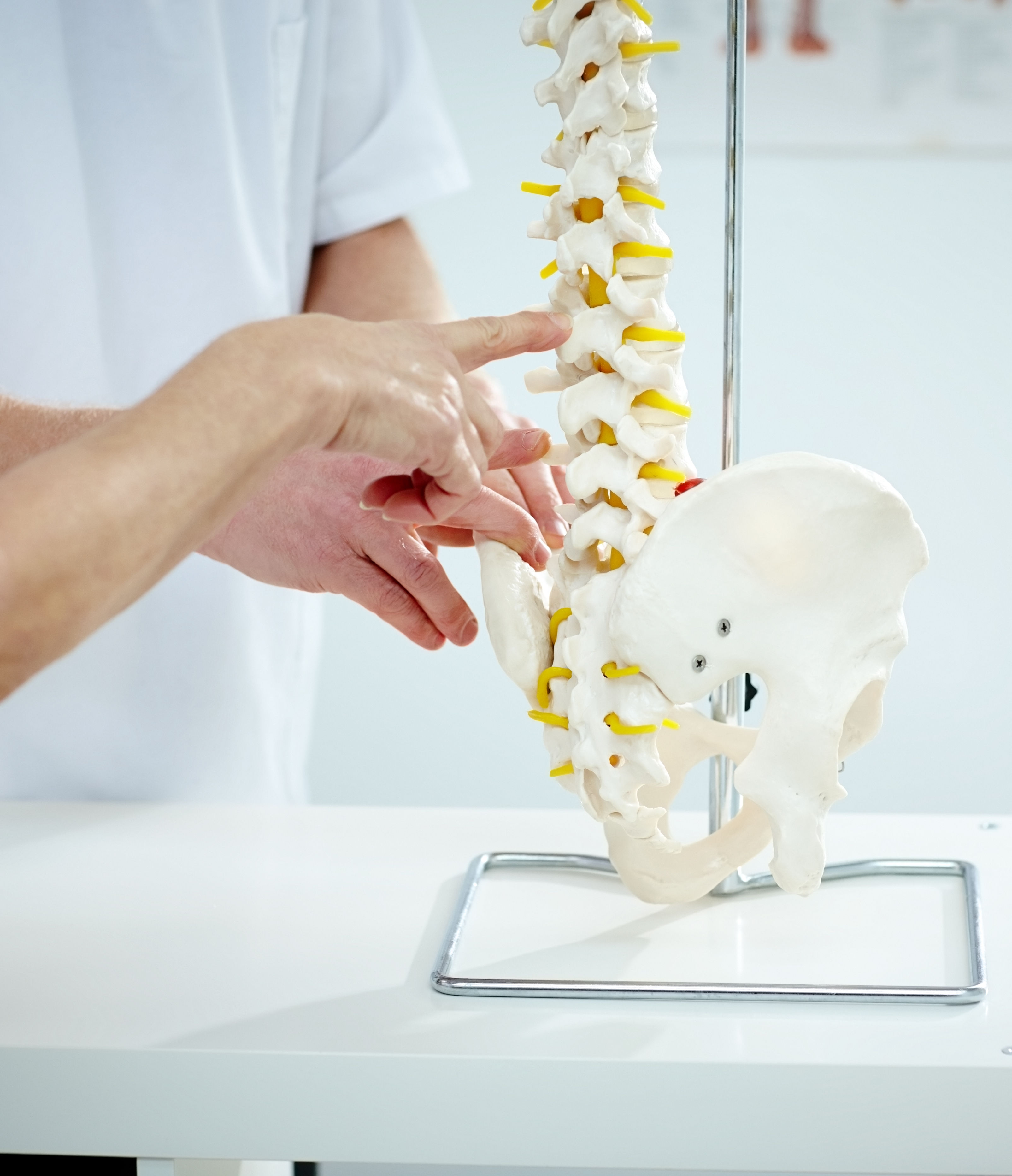 Chiropractor explains patient using plastic model