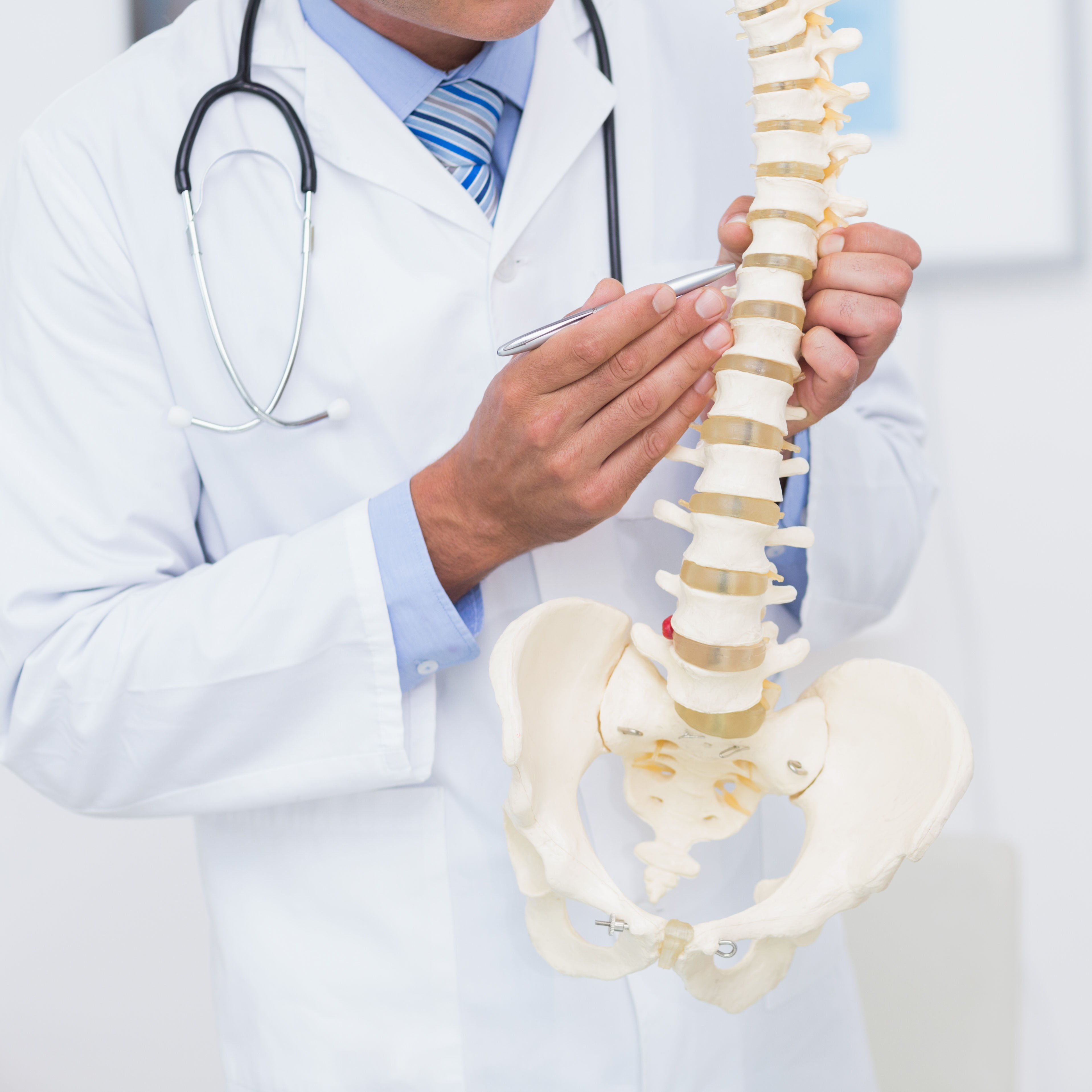 Doctor showing anatomical spine to his patient