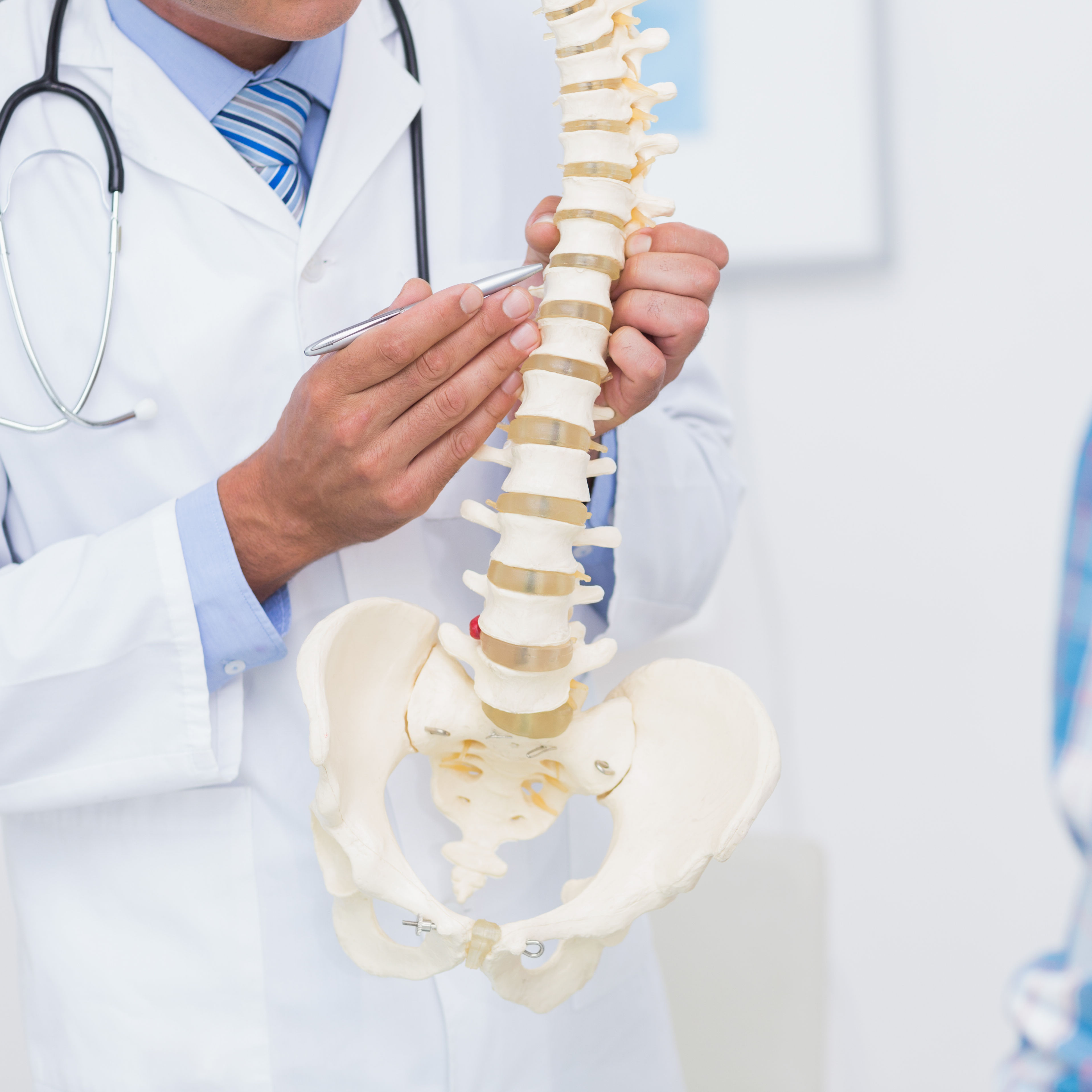 Doctor showing anatomical spine to his patient