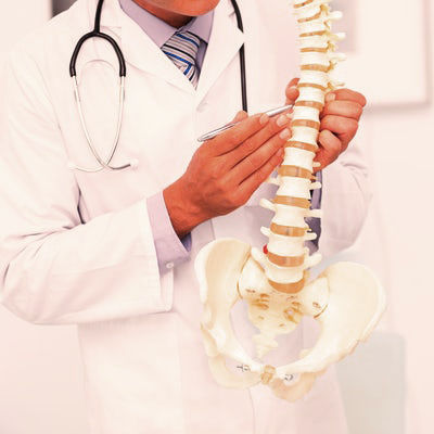 chiropractor near me