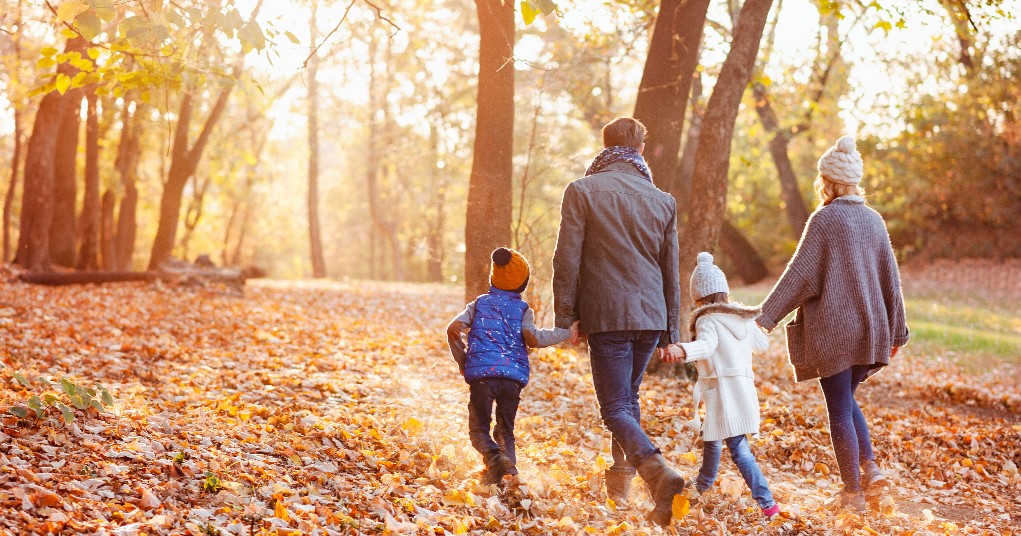 Family enjoying beautiful autumn day in the park