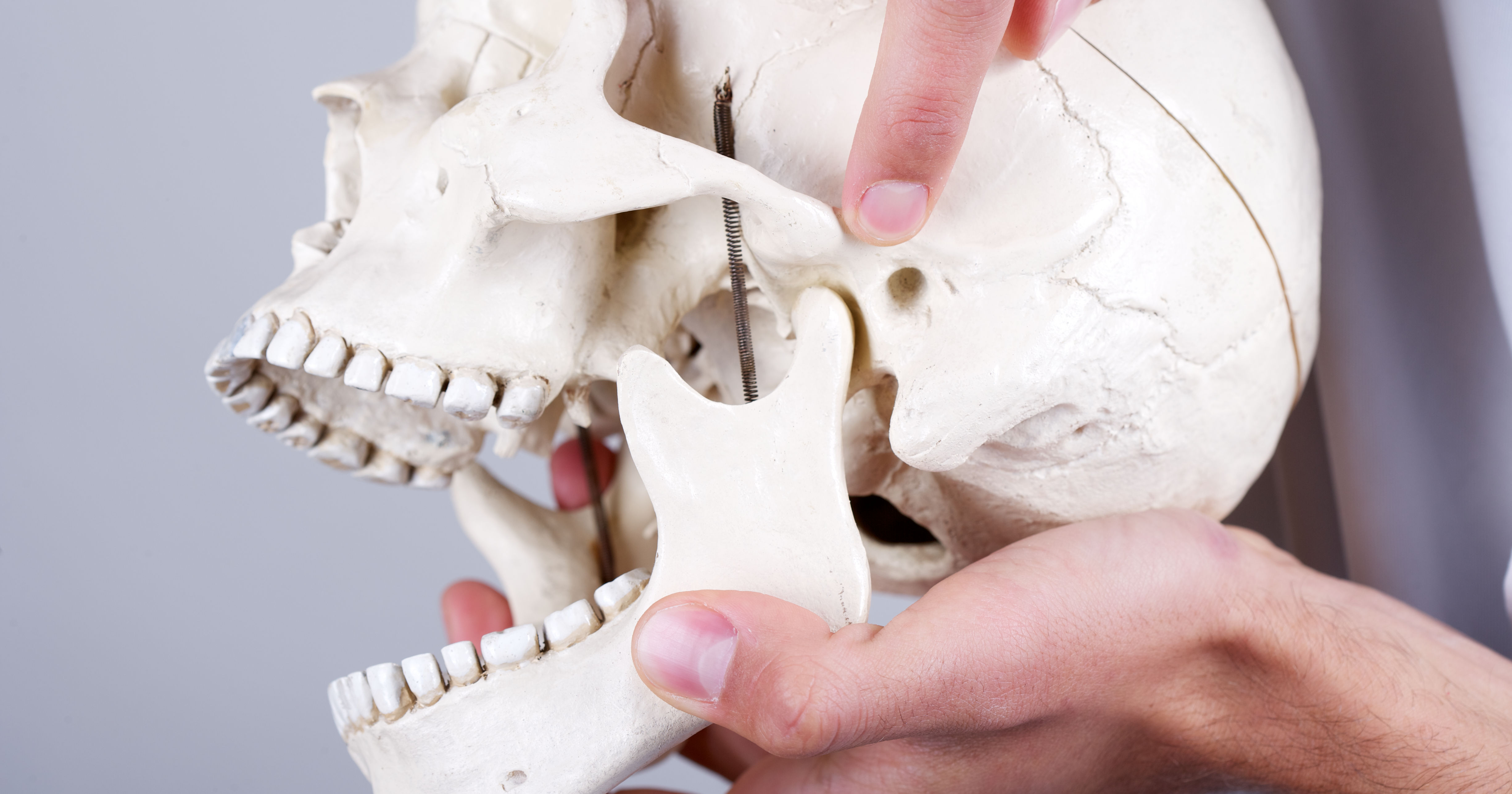 doctor showing temporomandibular joint