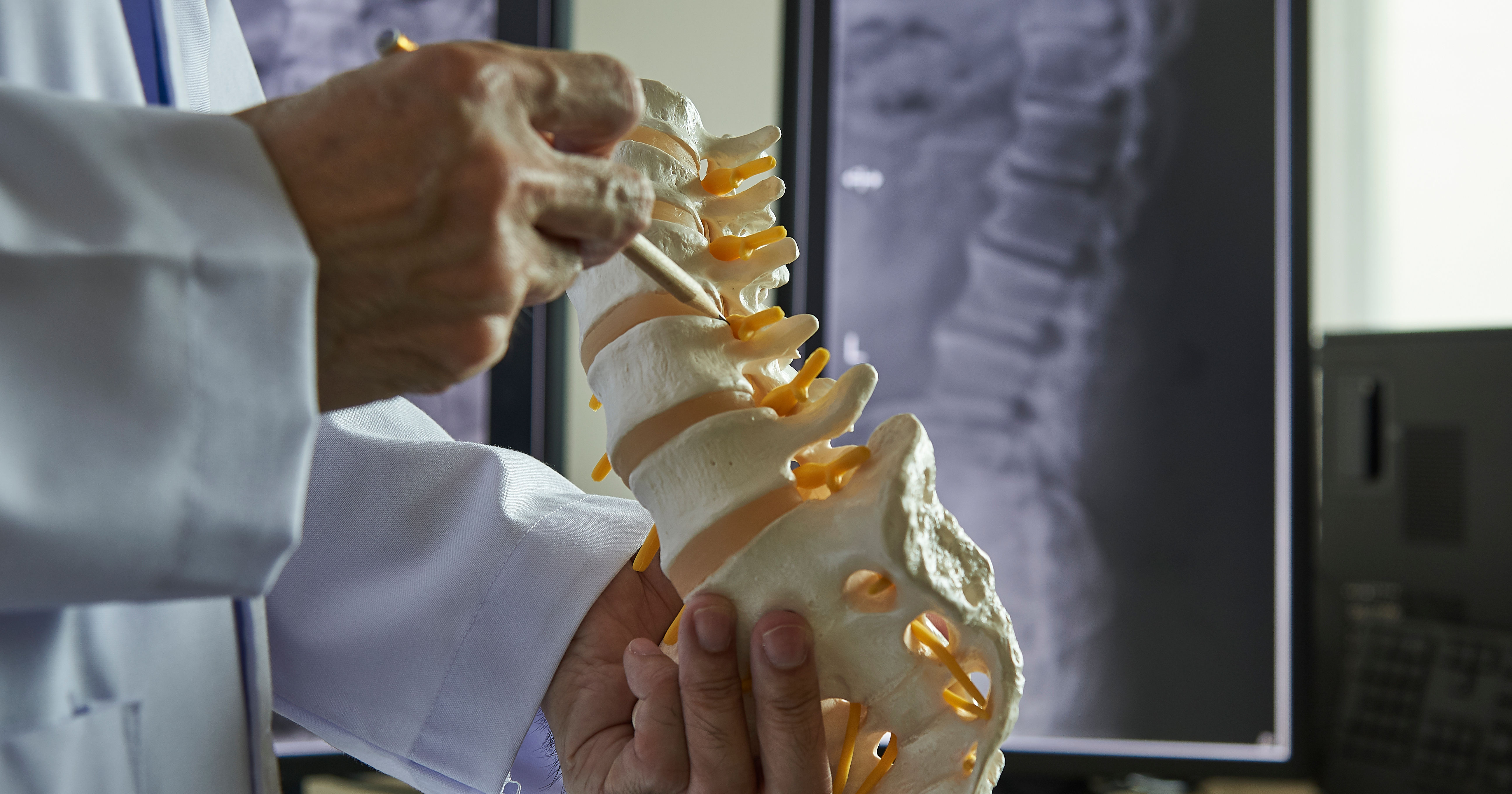 A chiropractor pointing at lumbar vertebra model