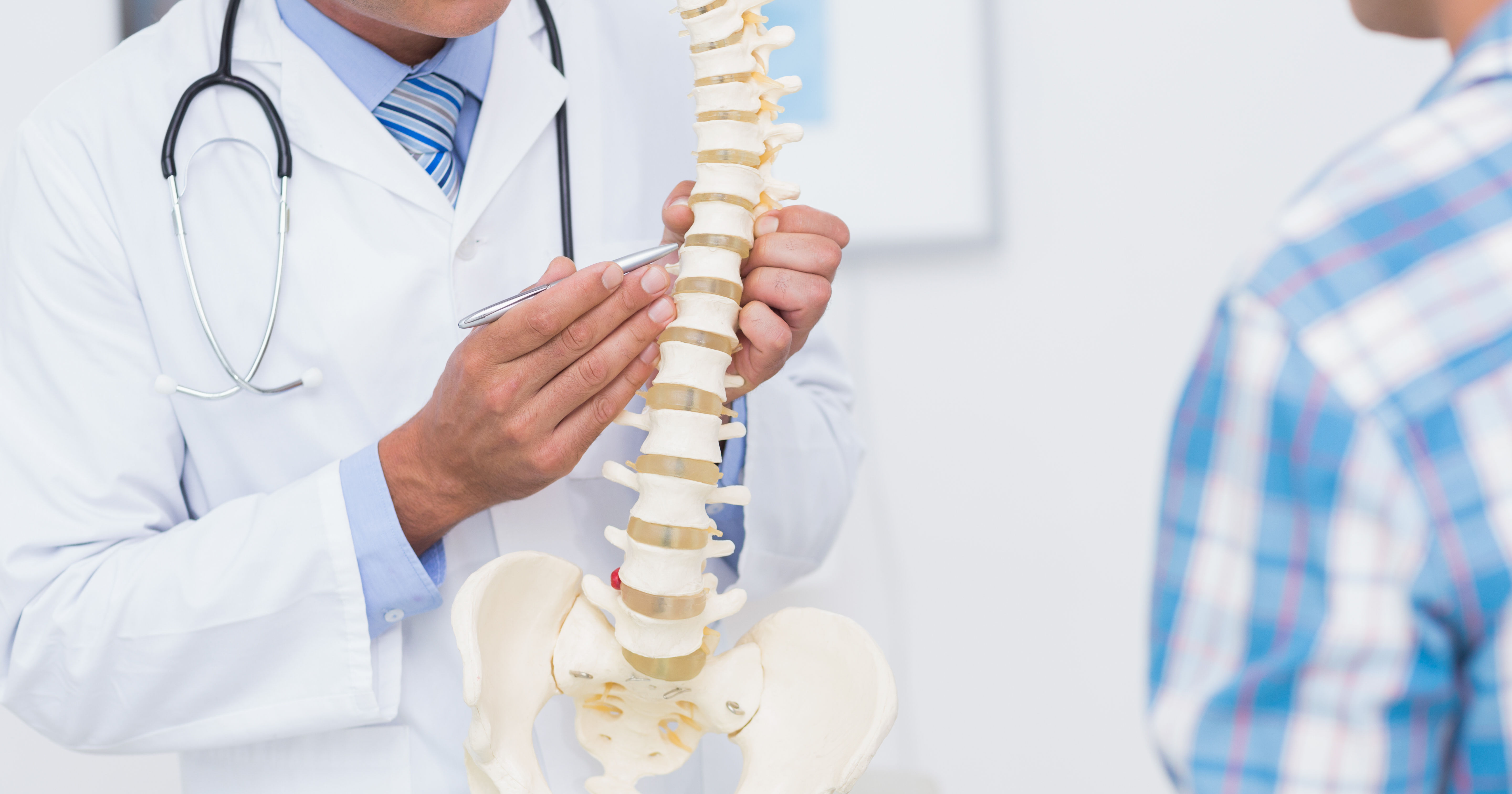 Doctor showing anatomical spine to his patient