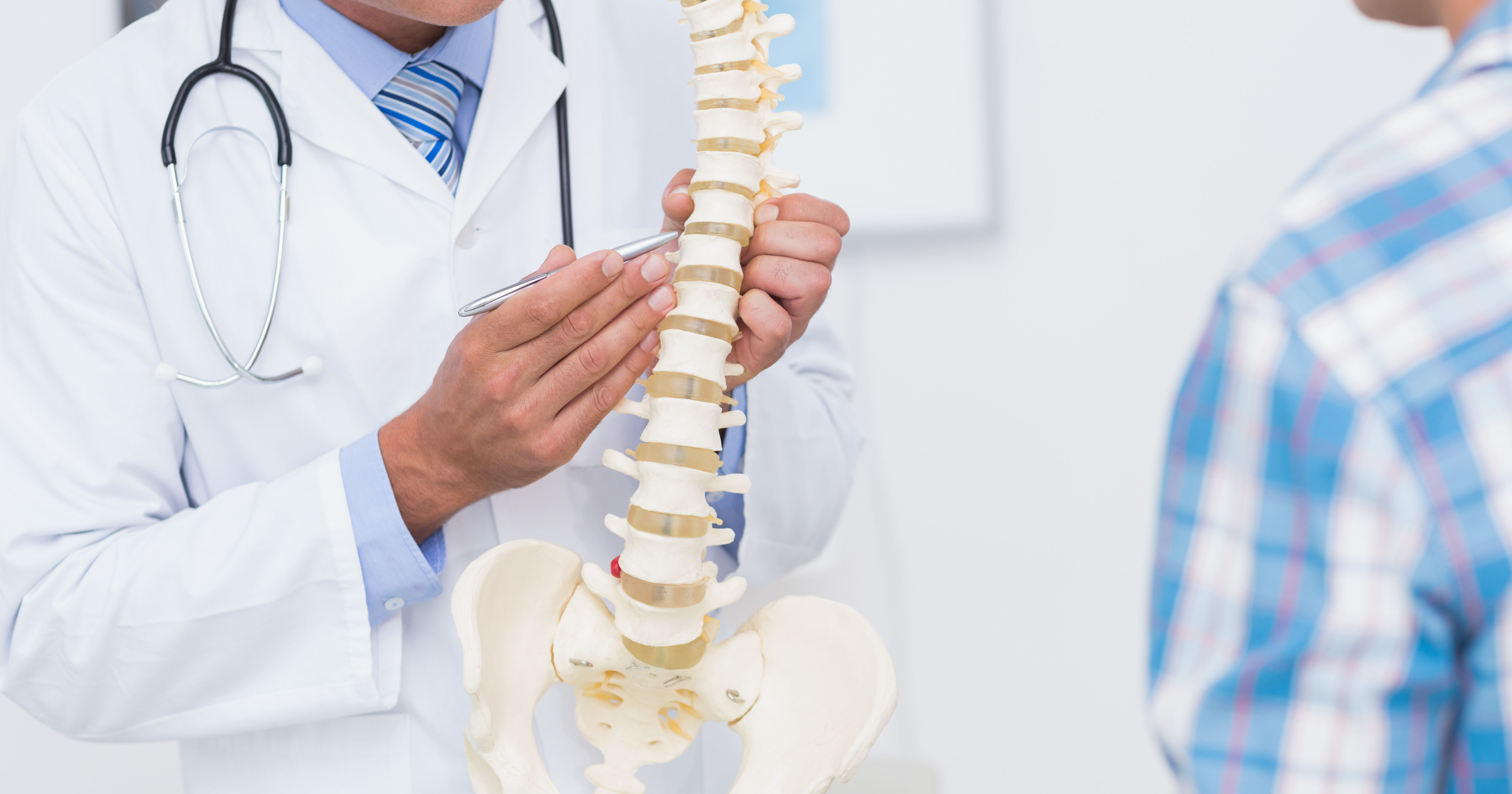 Doctor showing anatomical spine to his patient