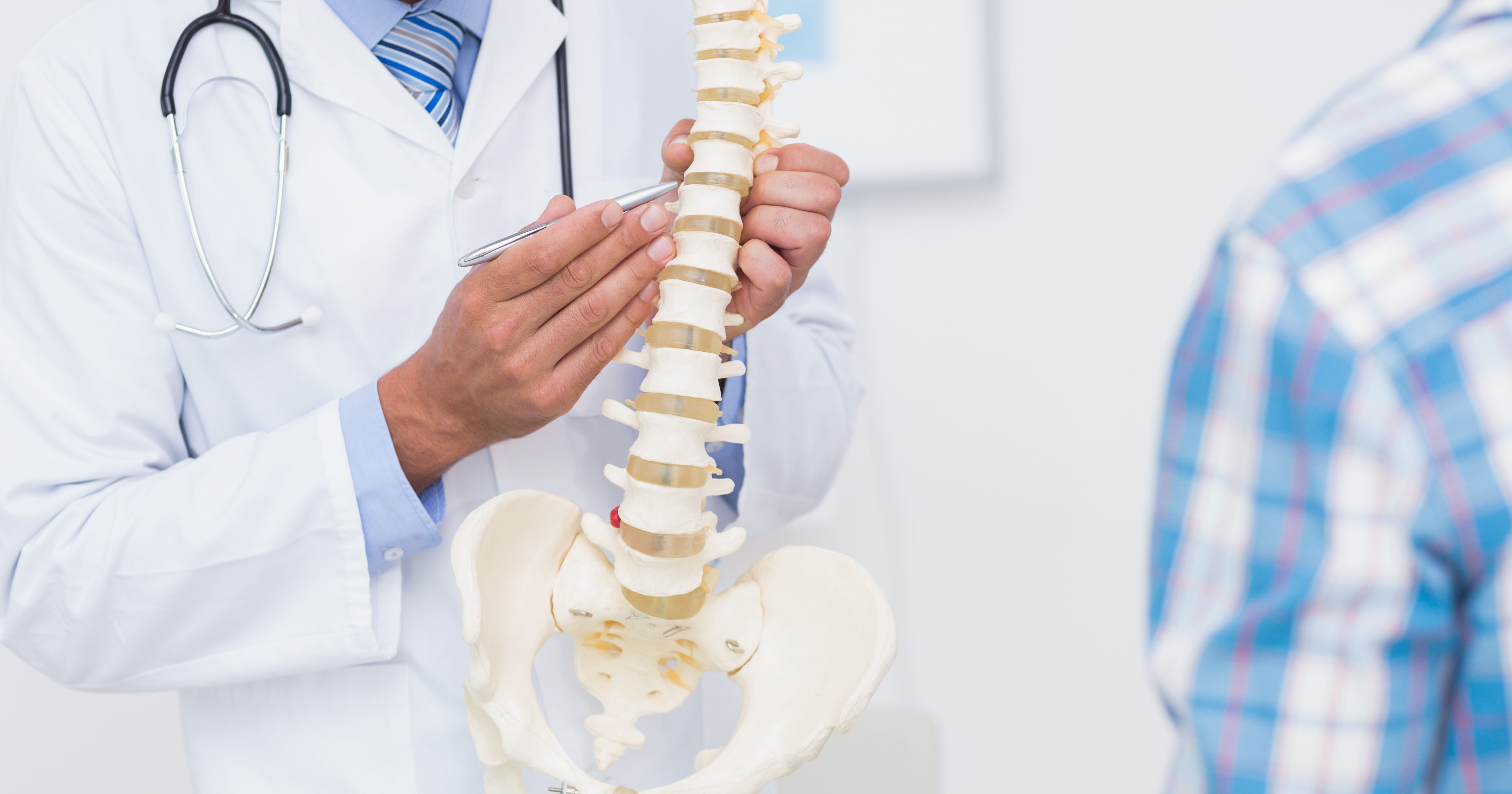 Doctor showing anatomical spine to his patient