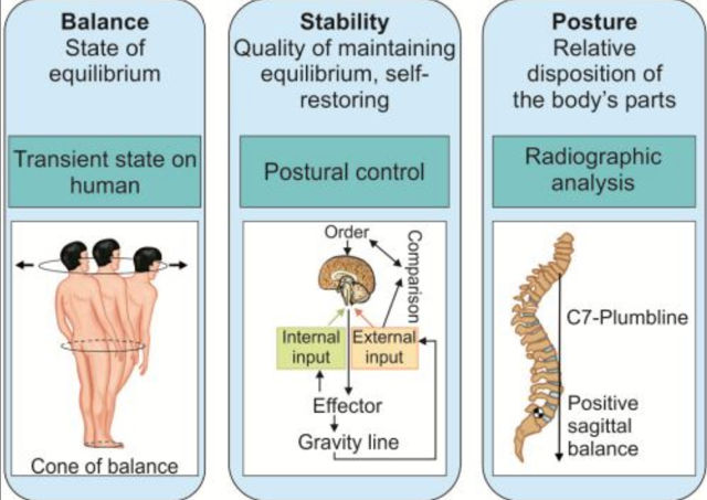 Balance and spinal stability assessment at chiropractor in Oakleigh