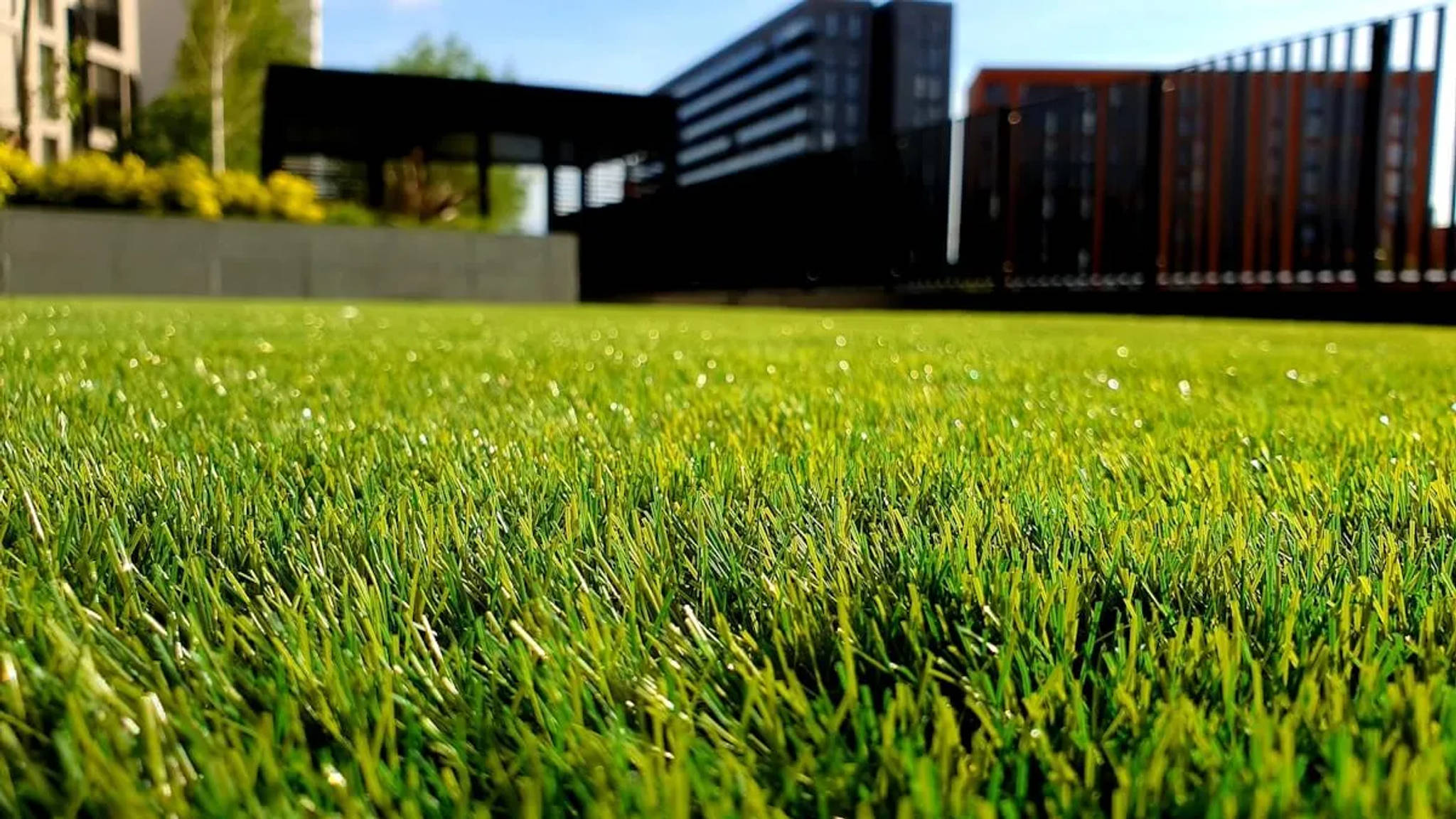 Tendência de paisagismo sustentável e de baixa manutenção usando relva artificial de alta qualidade em uma área residencial moderna.