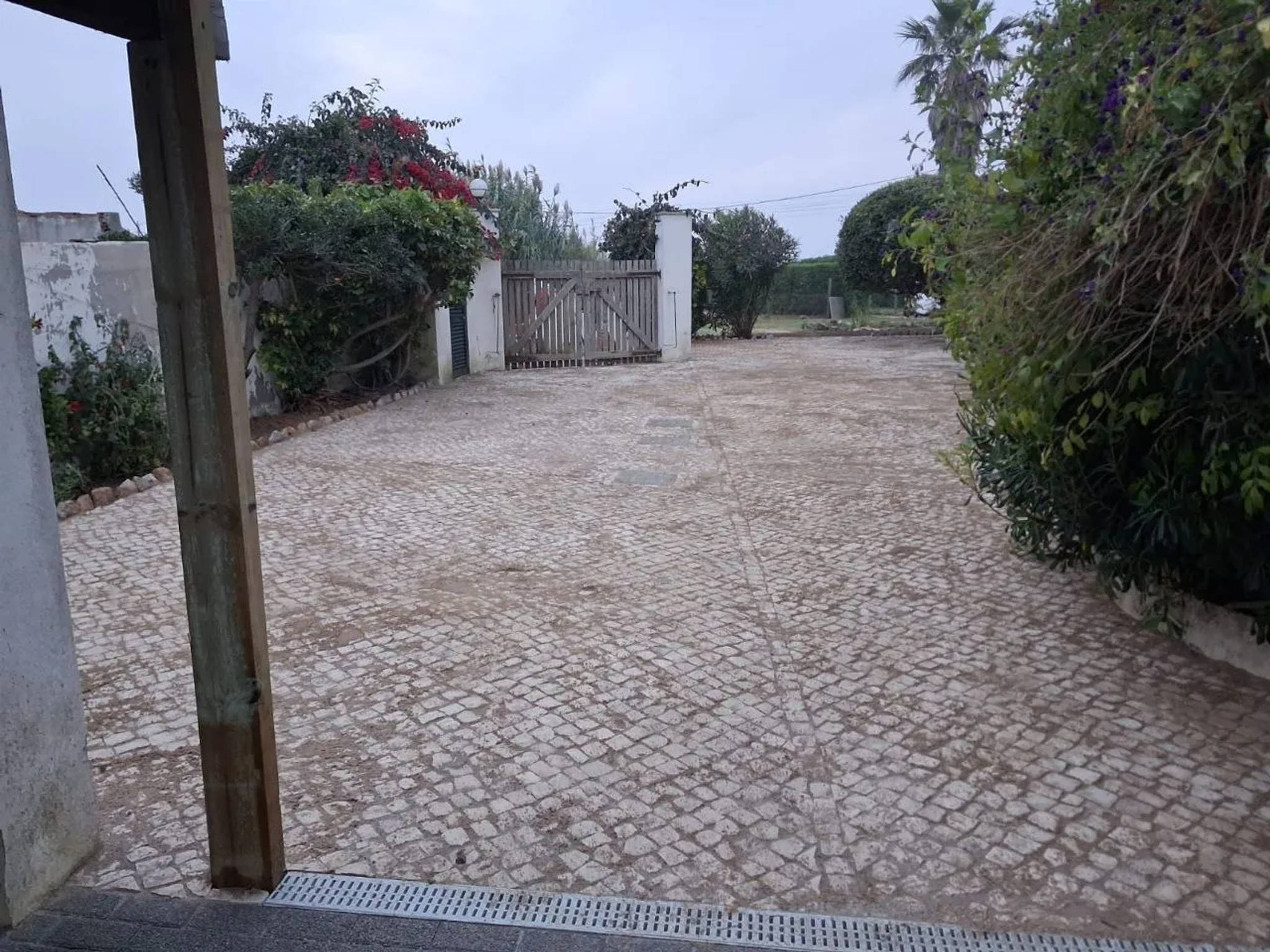 Colares Calçada and Paver Courtyard — 1