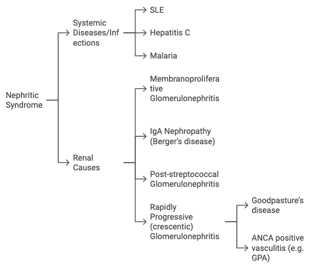 🫘 Nephrotic & Nephritic Syndromes | MSRA