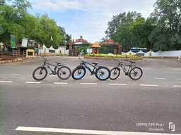 Customer electric bike review photo 14