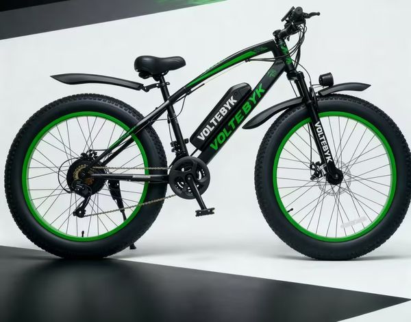 From Zero to 15,000 Bikes: The Voltebyk Founder Journey