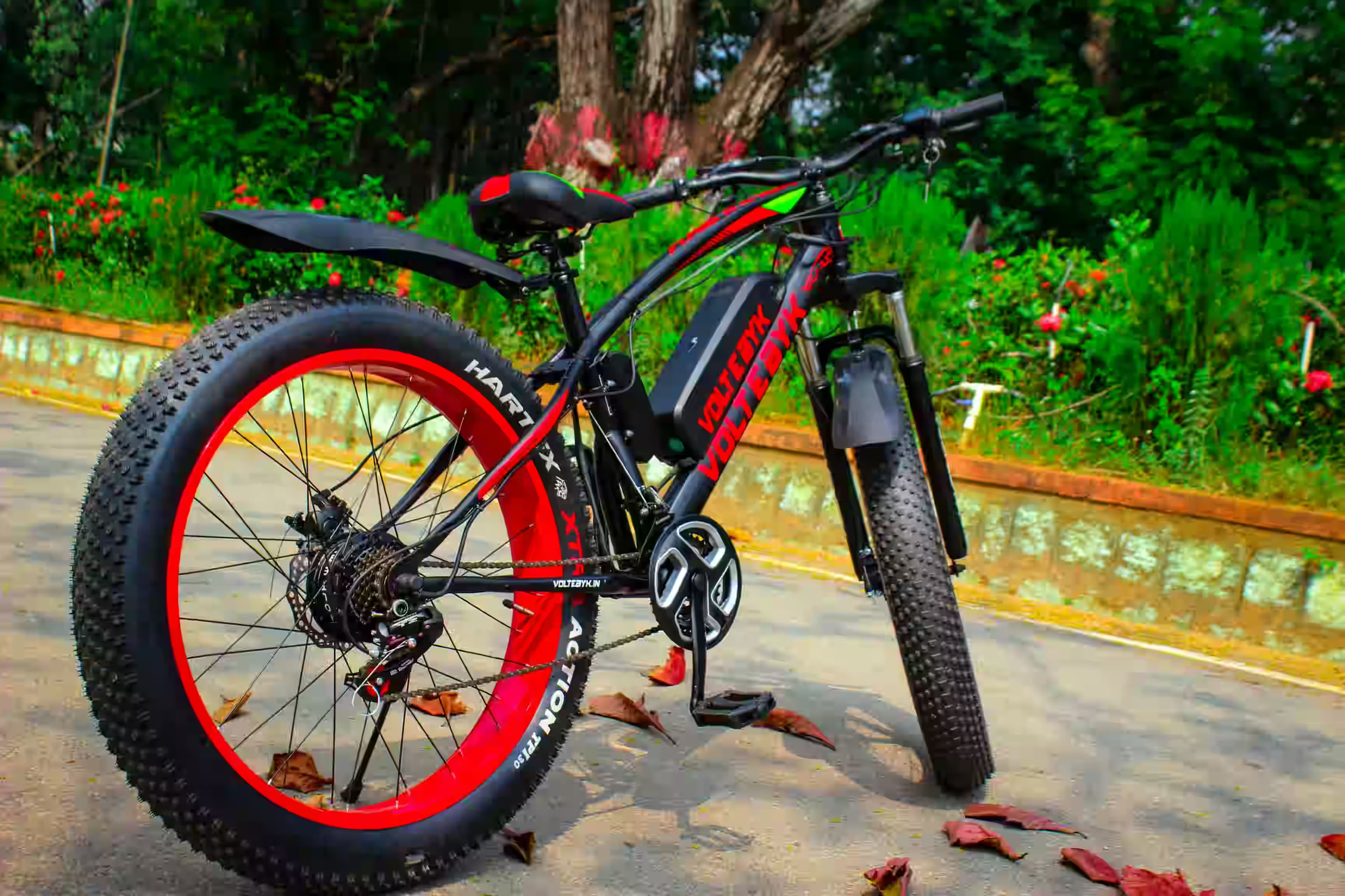 electric cycle