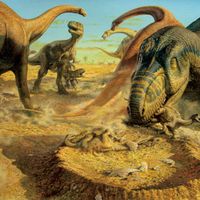 Dinosaur quiz