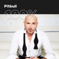 100% Pitbull