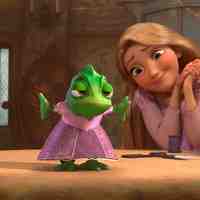 Pets companions in animation