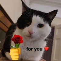 Songs for you