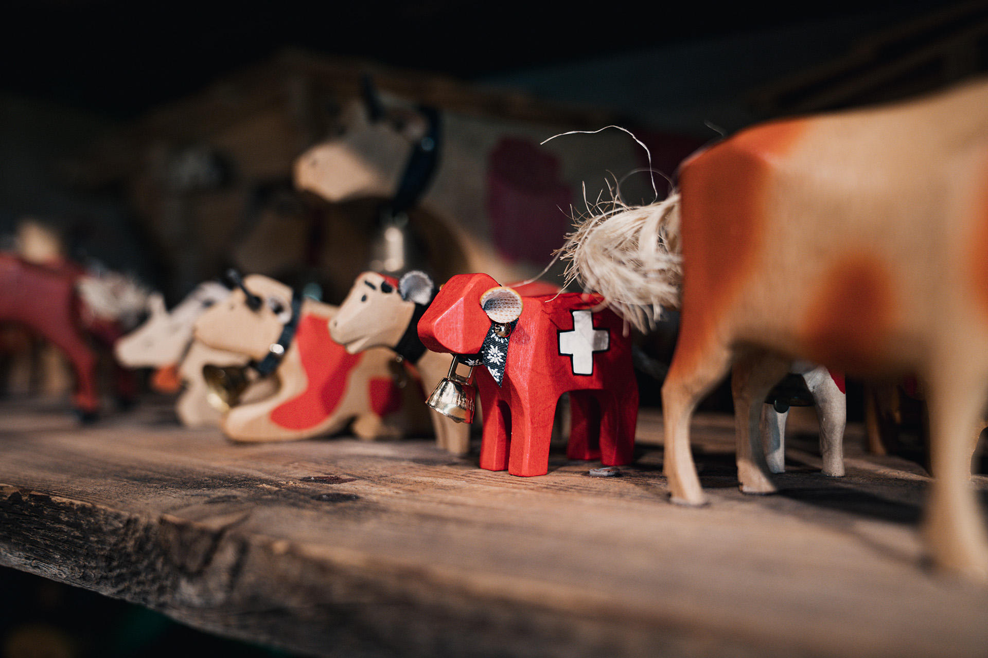 Win a Swiss Playing Card Cow!