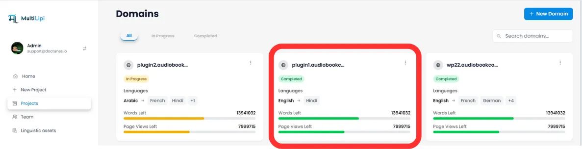 Projects page showing domain cards with website projects listed