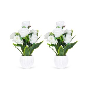 Small Pot White Roses