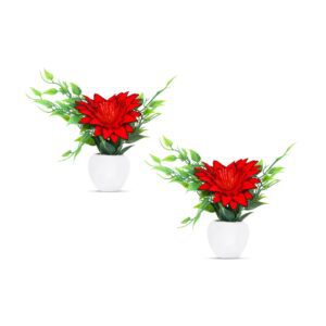 Tiny Pot Red Sunflower