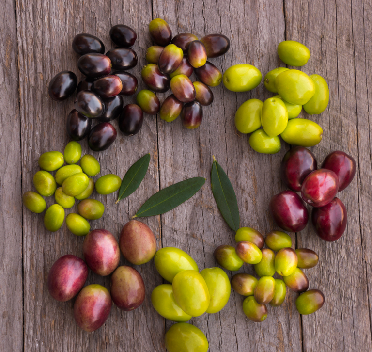 10 Types of Olives: Pitted, Stuffed, Colors & More