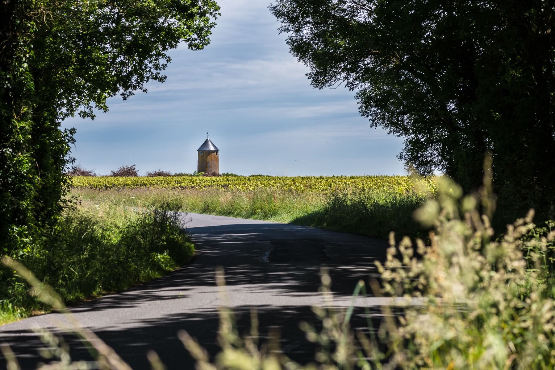 Monnières-Saint Fiacre - Muscadet