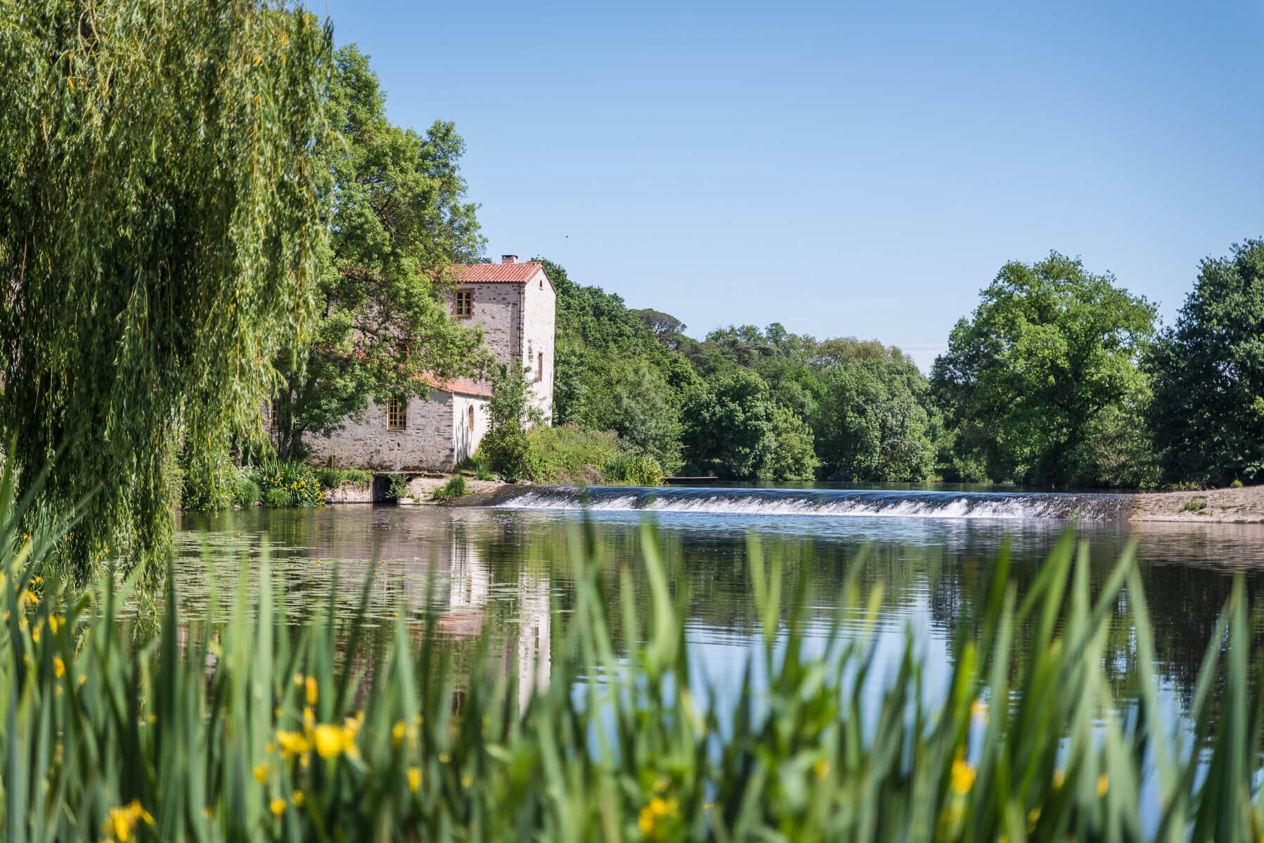 Gorges - Muscadet