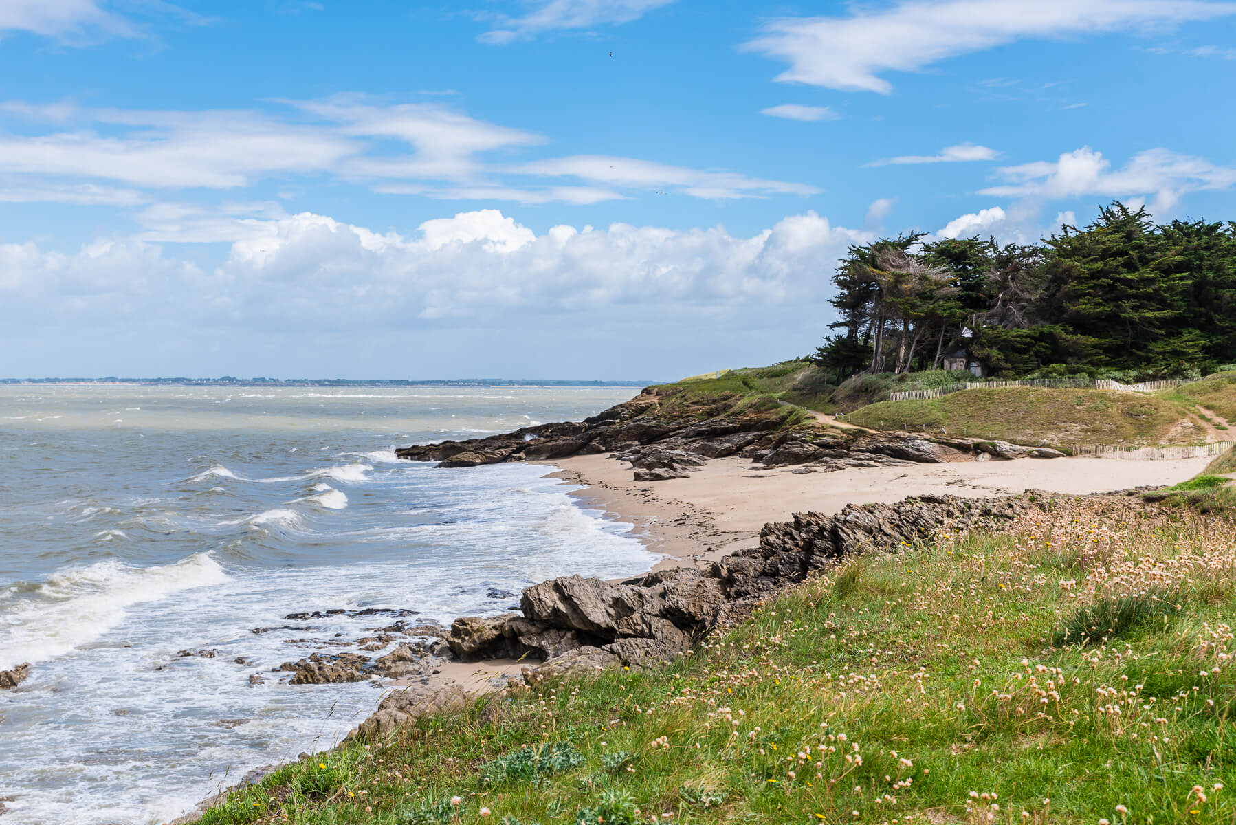 Gros-Plant du Pays Nantais - Muscadet