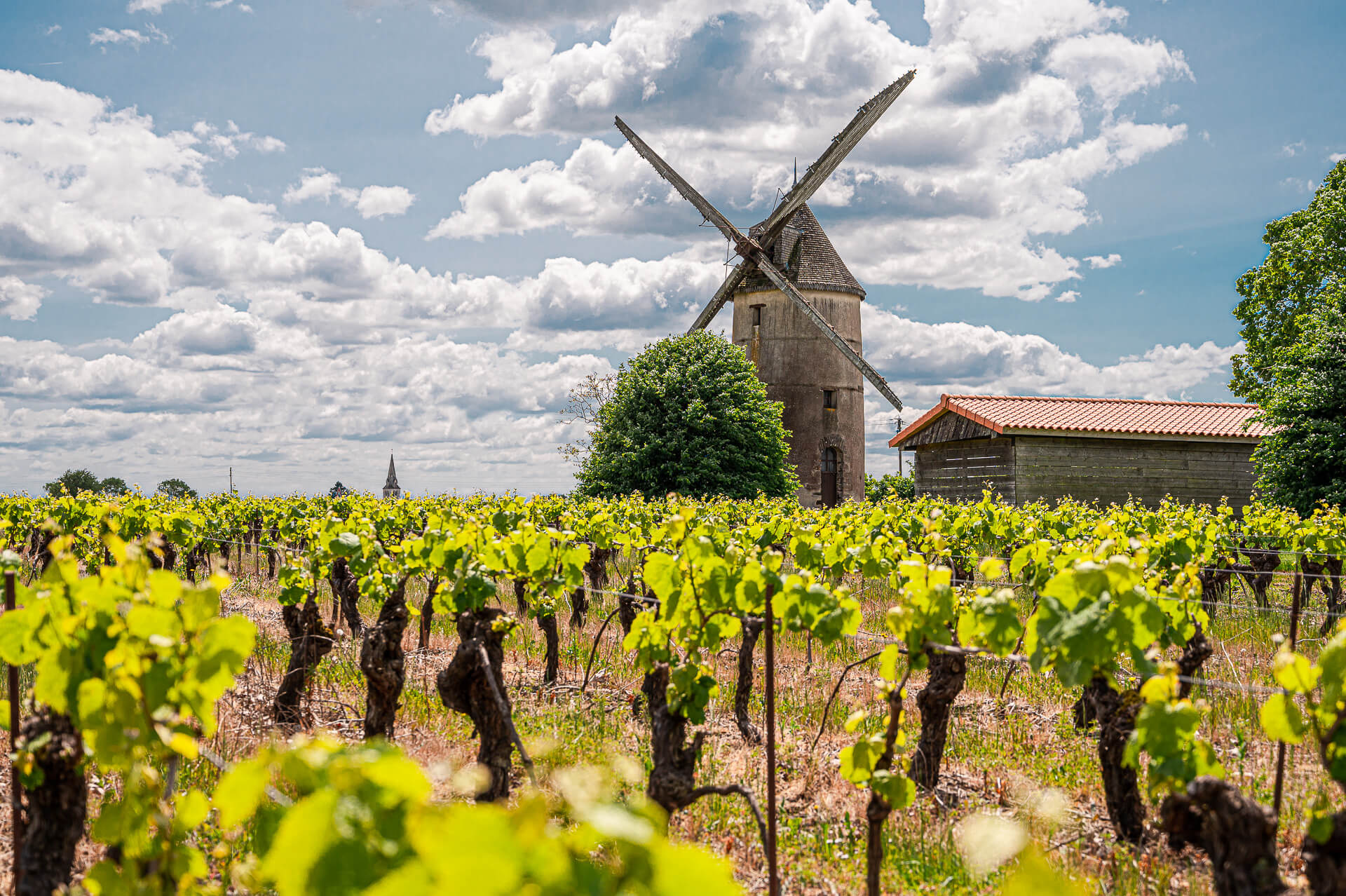Événements professionnels - Muscadet