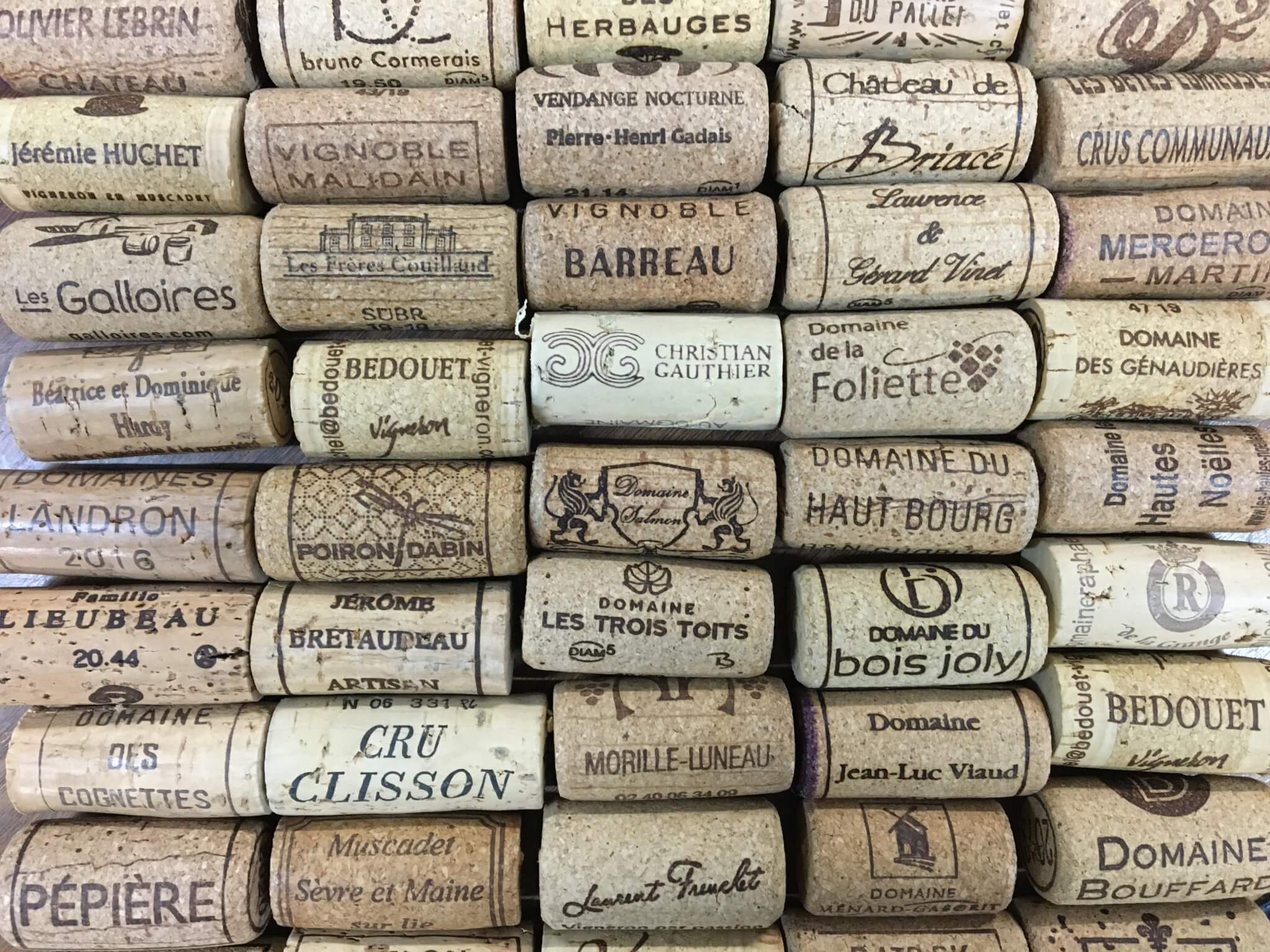 Masterclass et formation - Muscadet