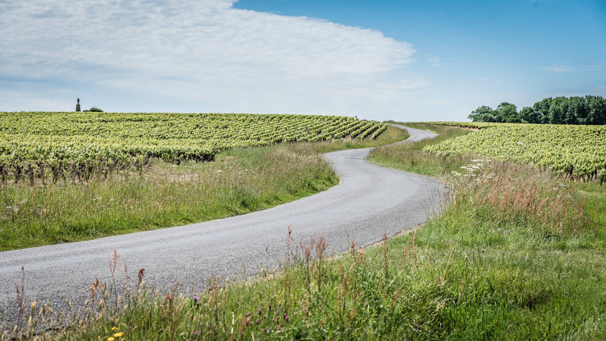 Carnet de Voyage - Muscadet