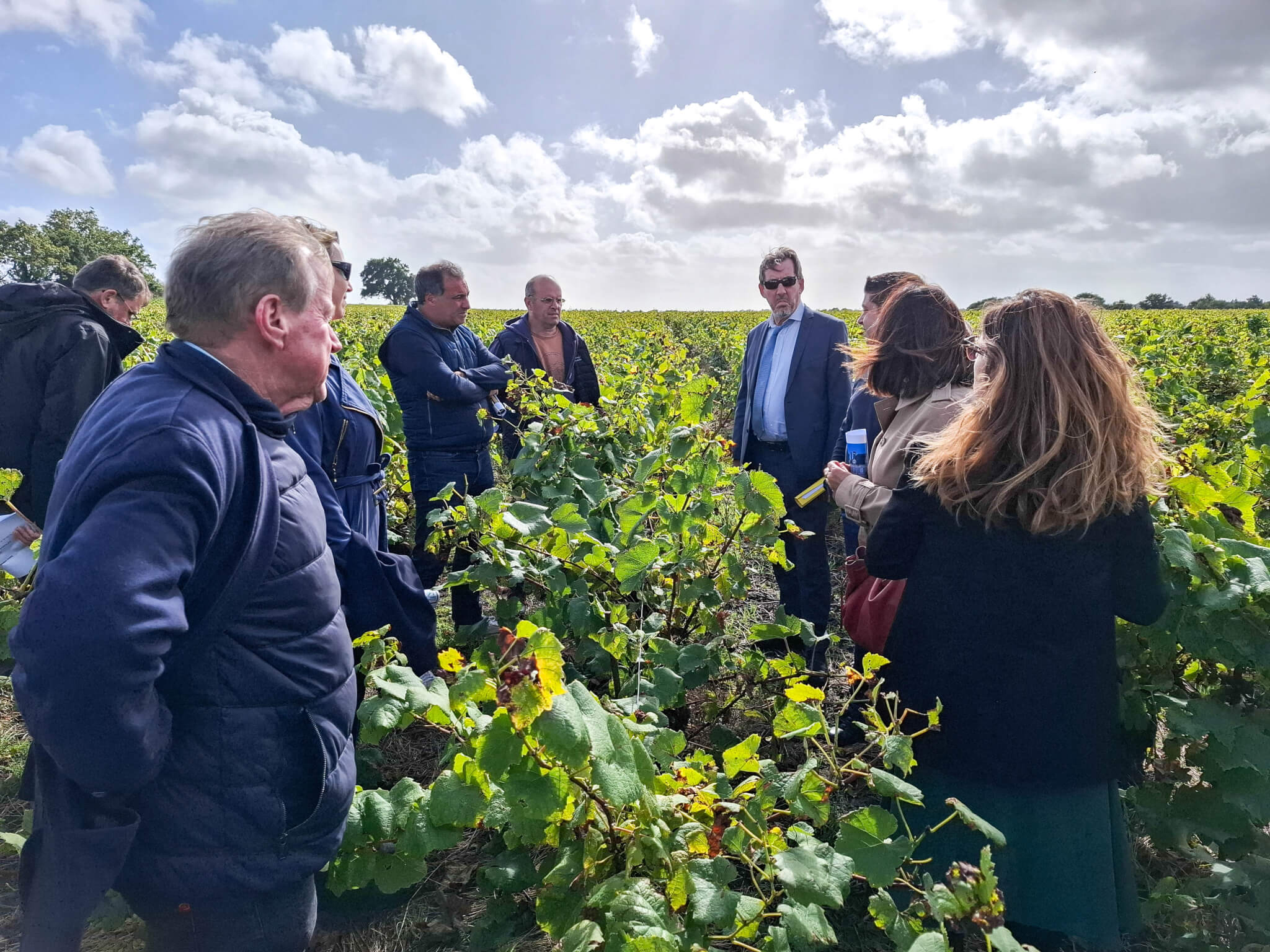 ISN : Le traitement des demandes est en cours - Muscadet