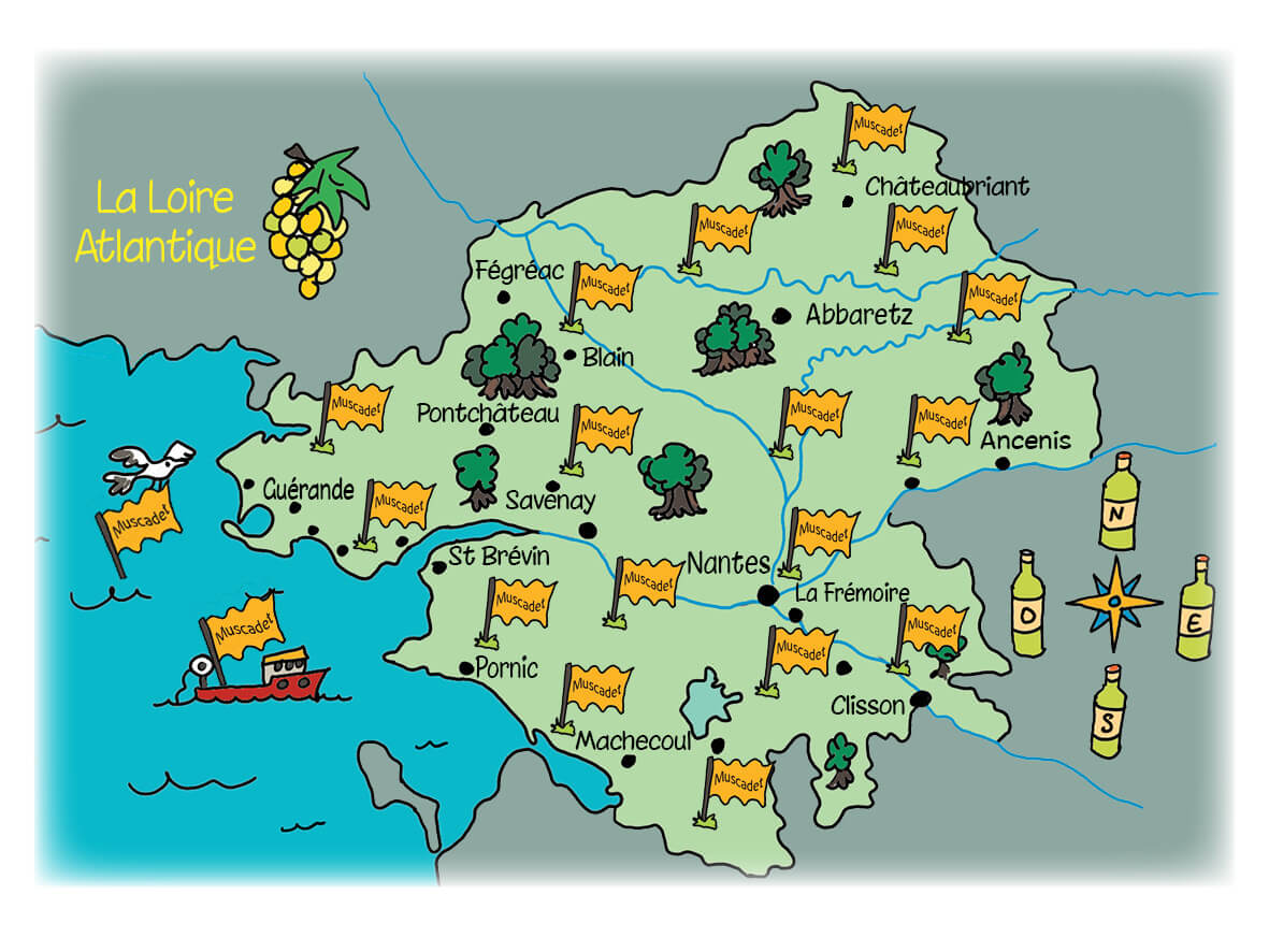 La story du Muscadet dans les stores - Muscadet