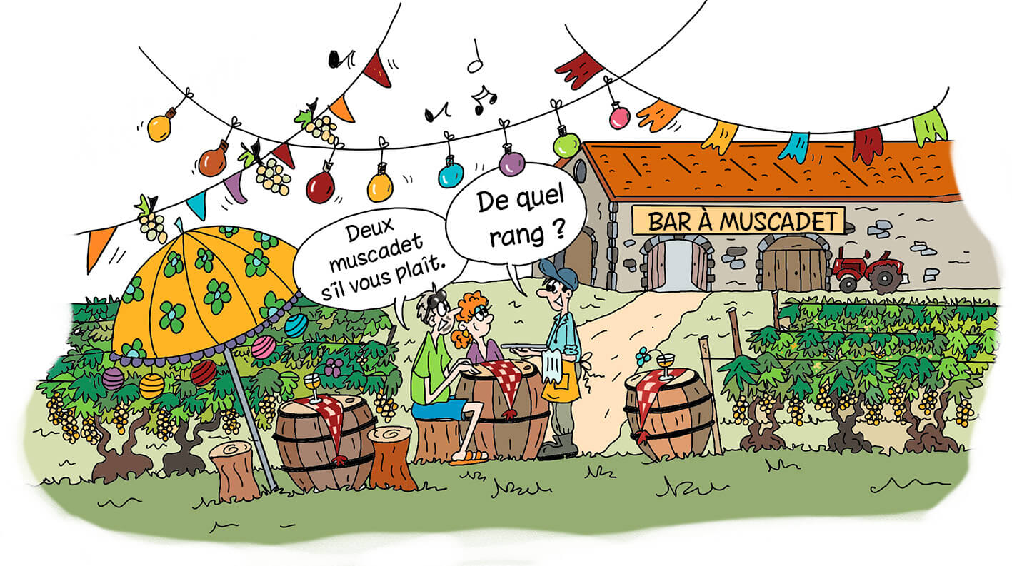 Le temps des guinguettes  - Muscadet