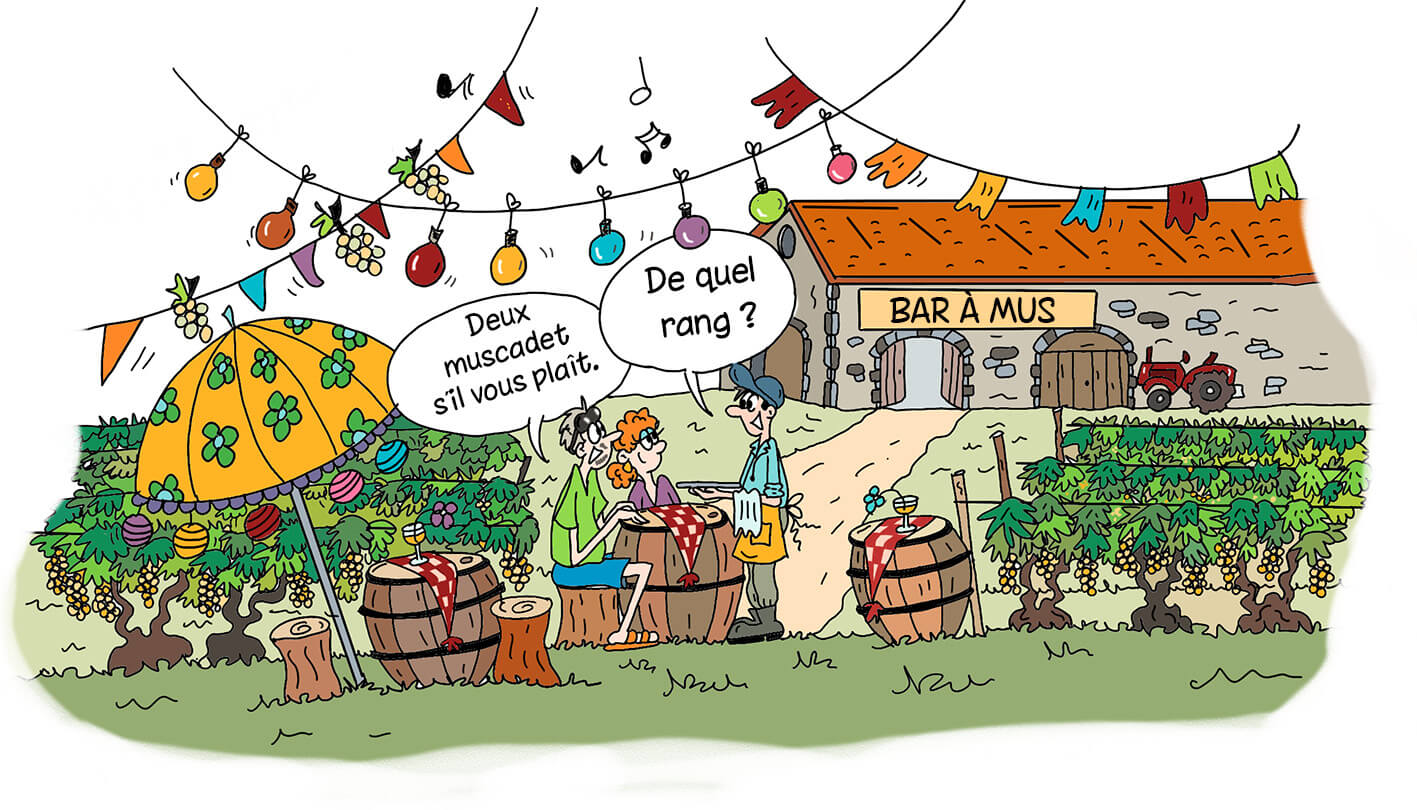 Le temps des guinguettes  - Muscadet