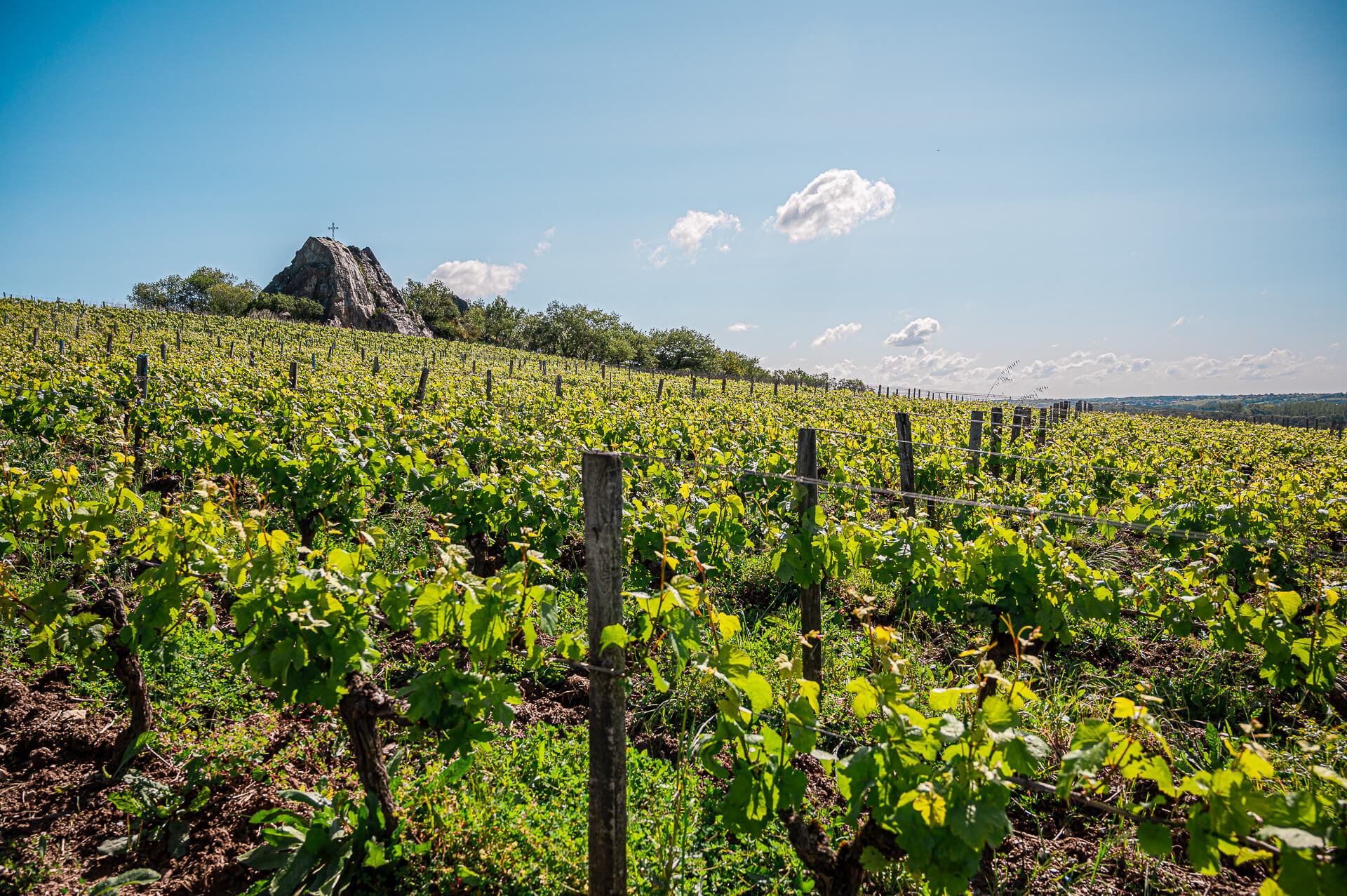 Une échappée en Loire le 30 août à Ancenis - Muscadet