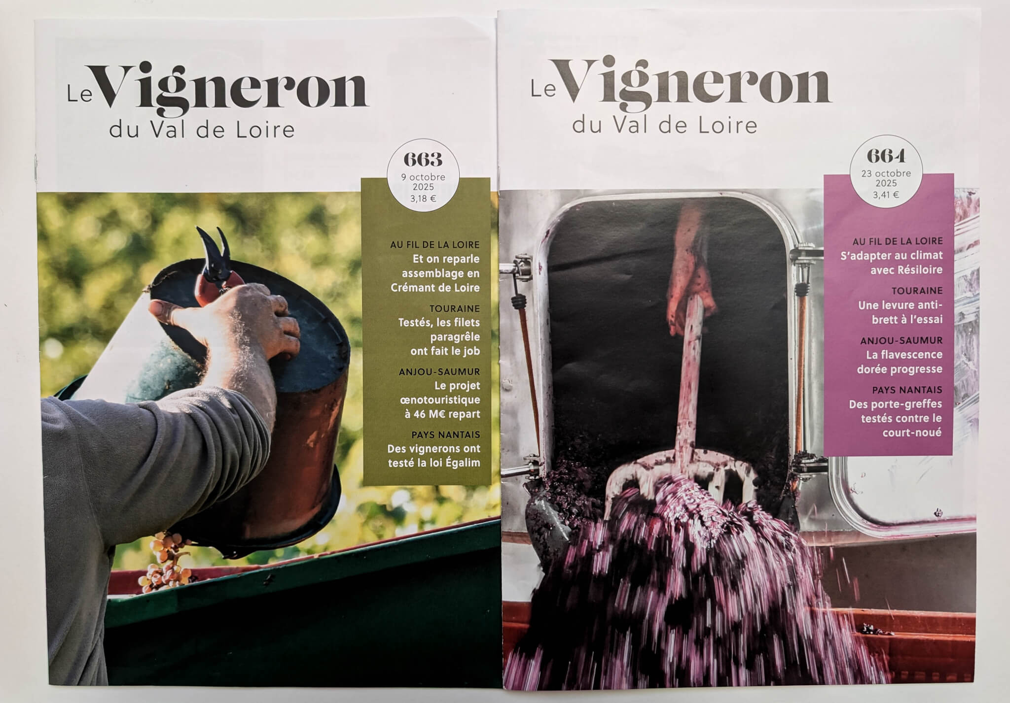 Offre d’abonnement au Vigneron du Val de Loire - Muscadet