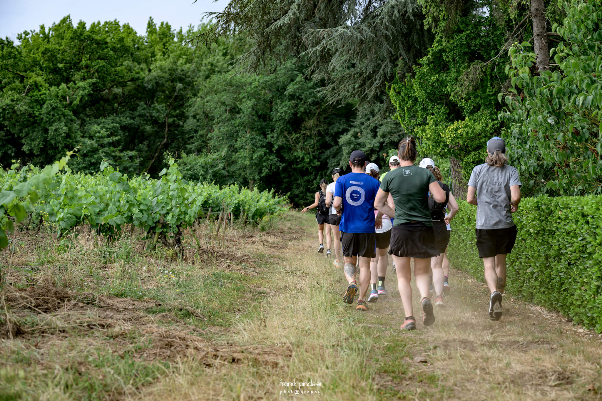 Muscadet Running Club : les vignes comme terrain de jeu - Muscadet
