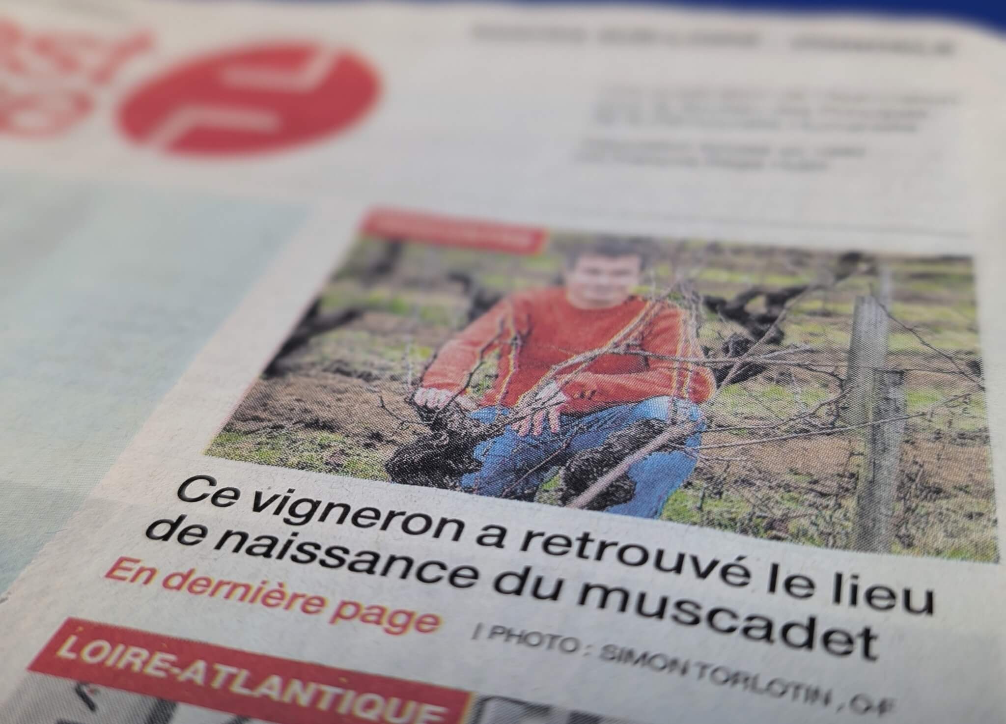 Revue de Presse – Quatrième trimestre 2025 - Muscadet