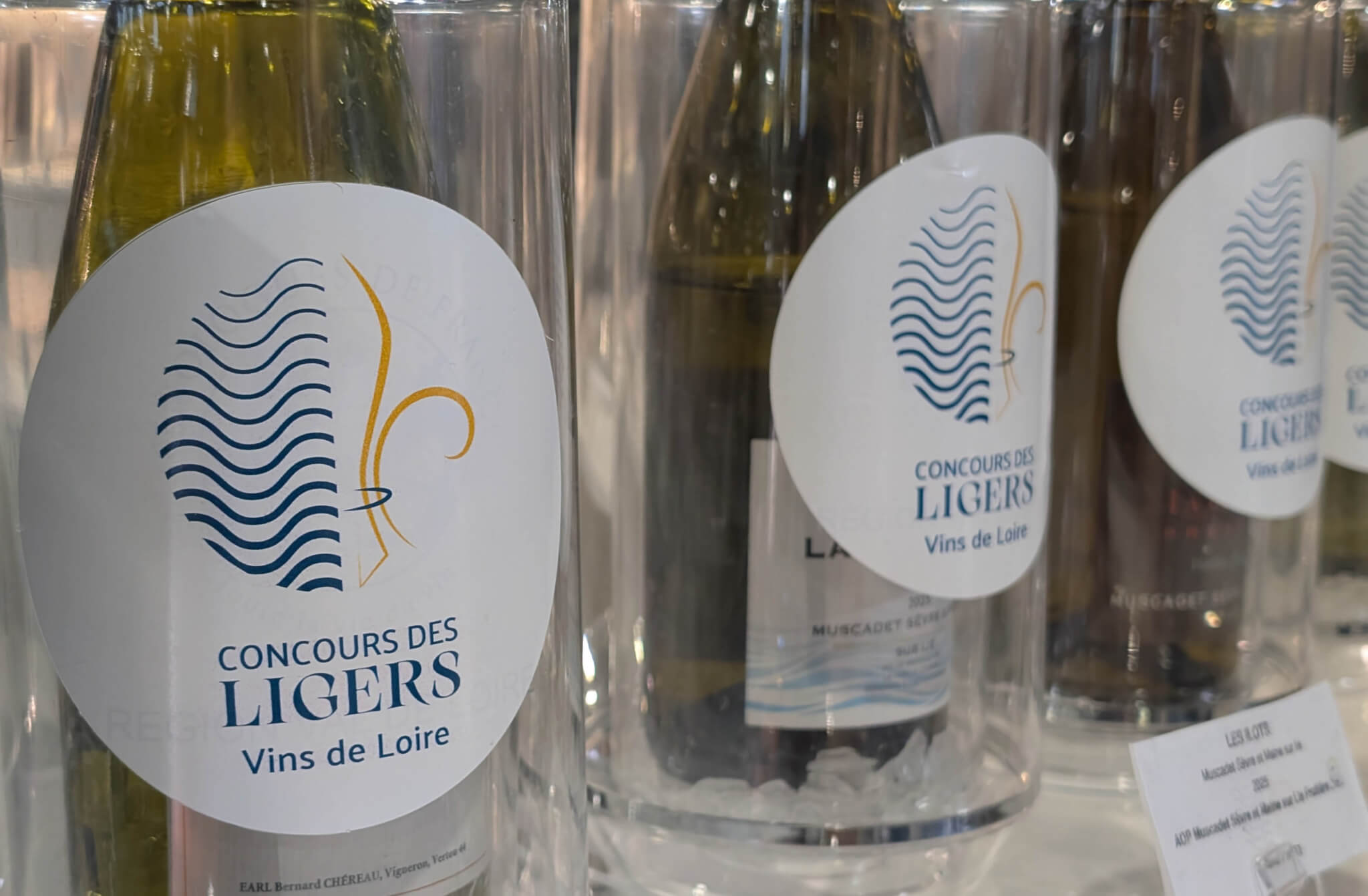 Palmarès du concours des Ligers 2026 - Muscadet