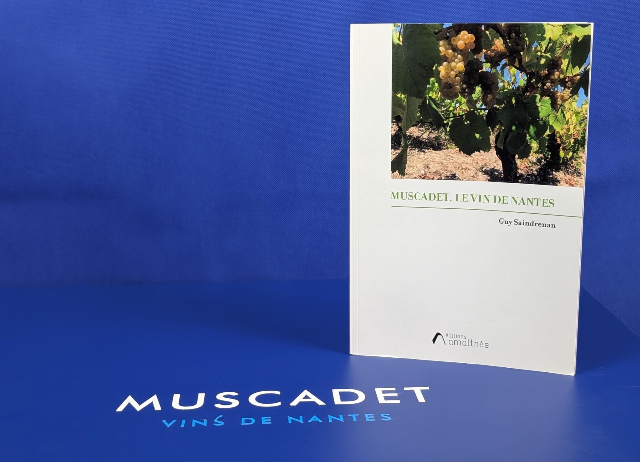 Plaidoyer pour le Muscadet - Muscadet