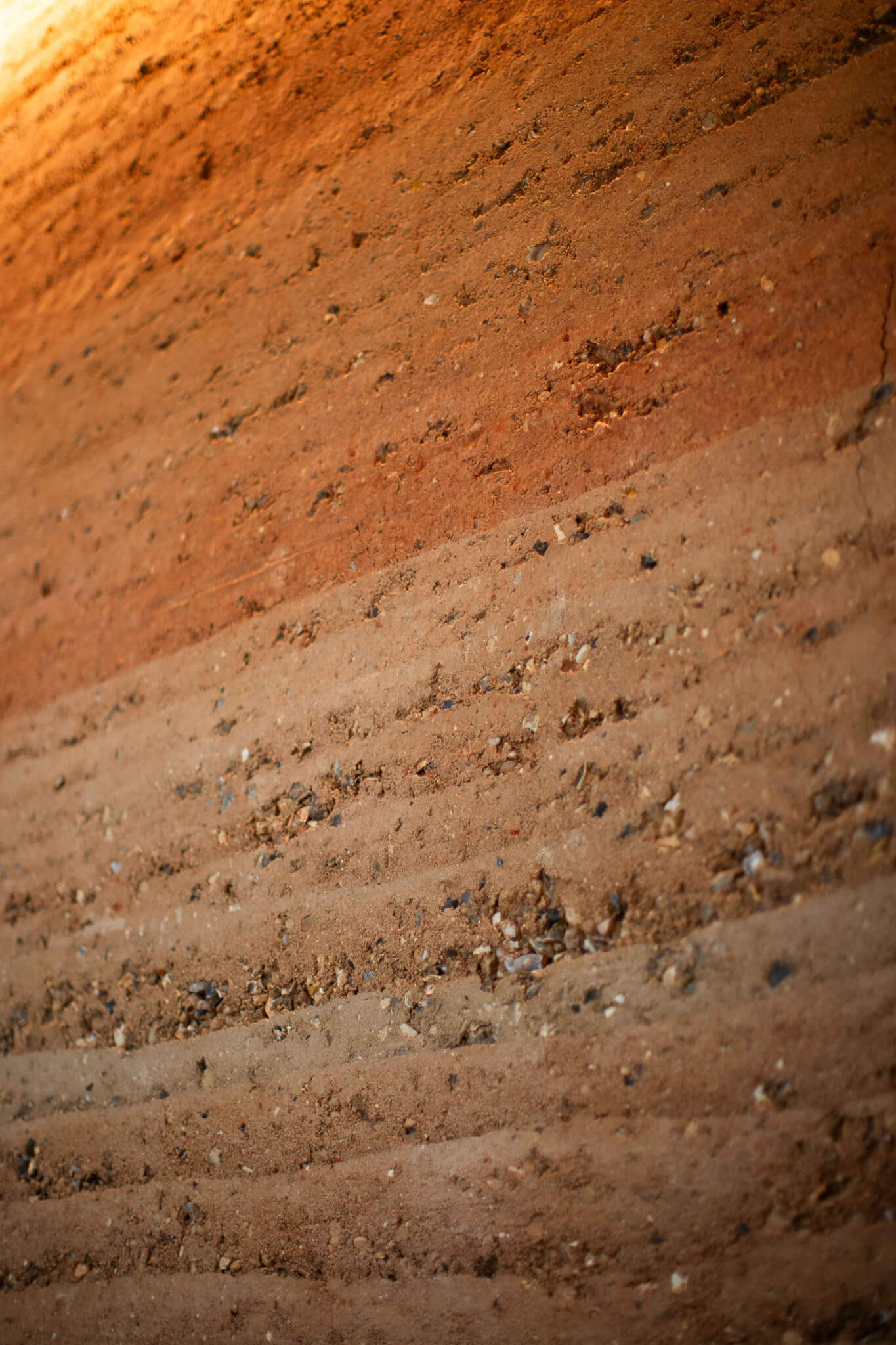 Restaurant - Muscadet