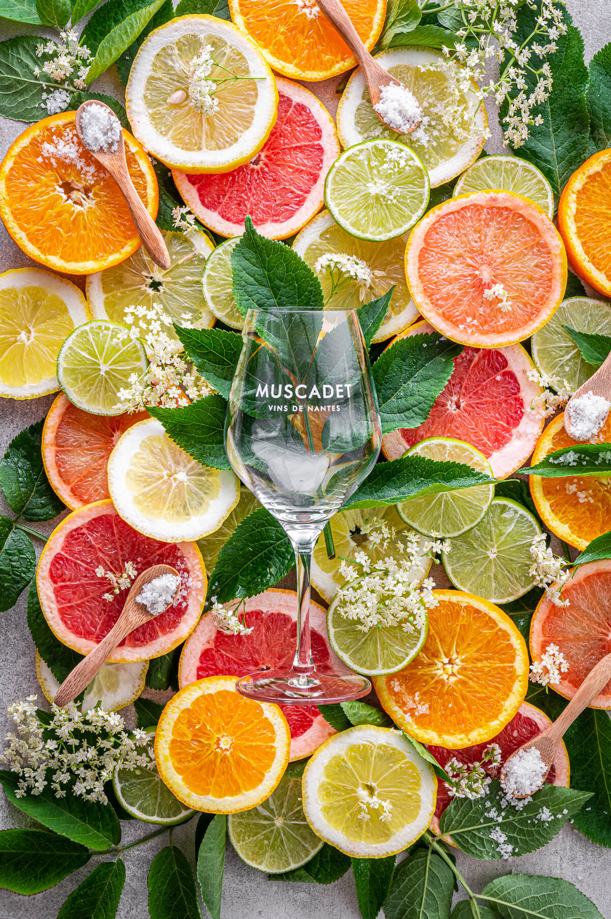 Animations & Dégustations - Muscadet